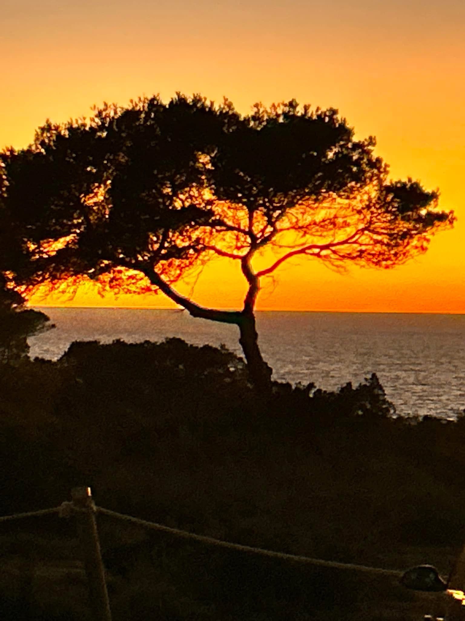 Ibiza
